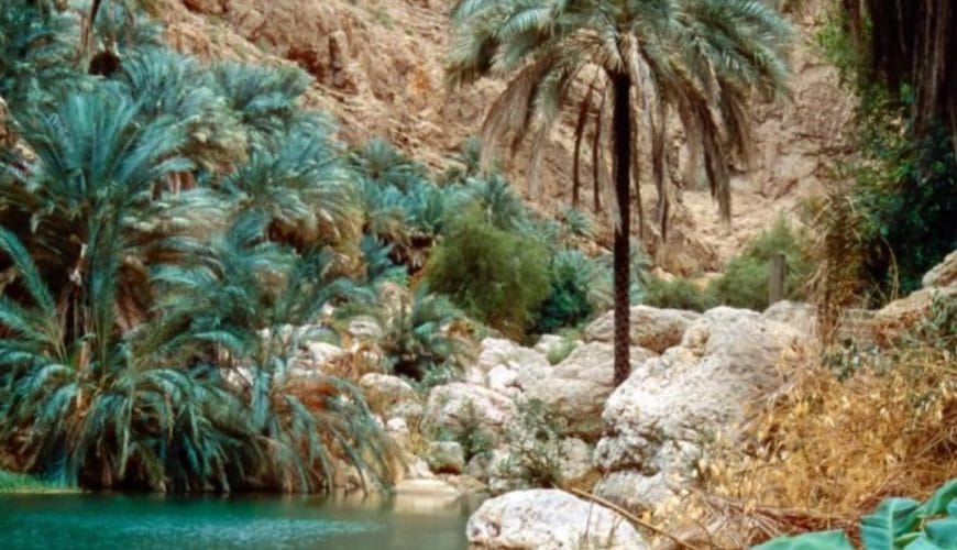 book dubai excursions