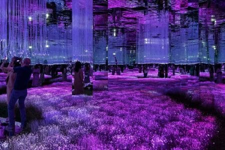 visit visa uae price today