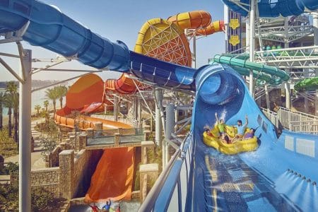 best business setup consultants dubai