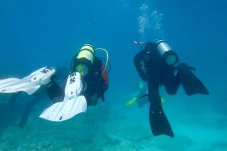 business setup cost in abu dhabi