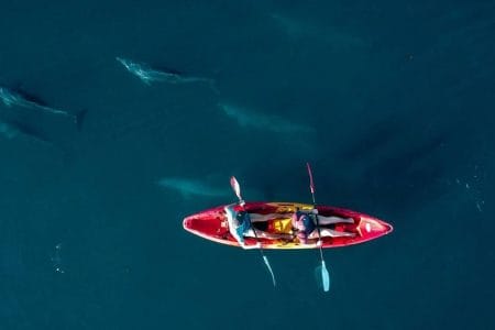 dubai excursions packages