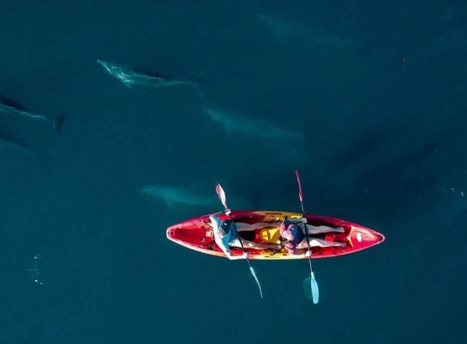 dubai excursions packages