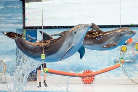 dubai excursions booking