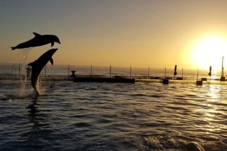 golden visa dubai price