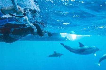 golden visa dubai price