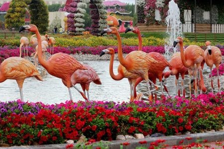 business setup cost in abu dhabi