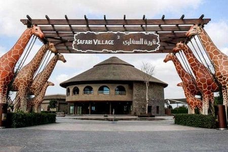 visit visa uae price today