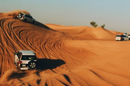Enjoy the desert safari in Dubai with your loved ones
