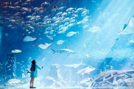 dubai trip package for couple