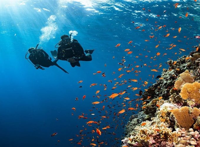 dubai excursions booking