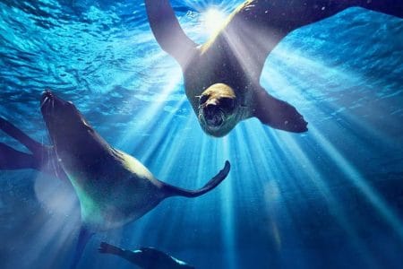 dubai excursions booking