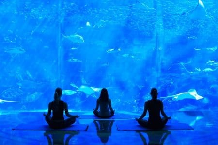 best business setup consultants dubai