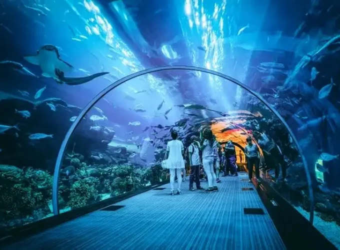 dubai day tour packages