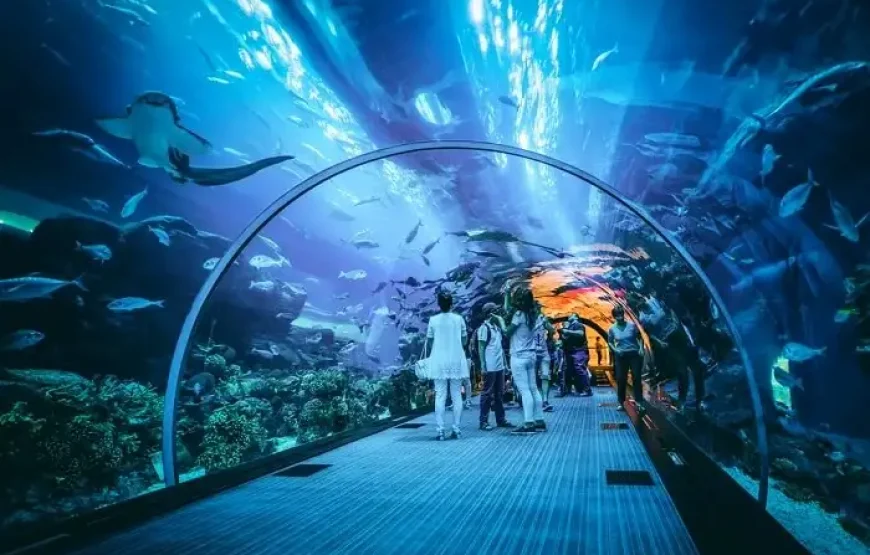 Dubai Mall – Dubai Aquarium & Underwater Zoo
