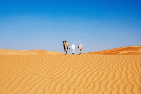 Plan a perfect holiday in Abu Dhabi: Enjoy the glittering city and Arabian safari