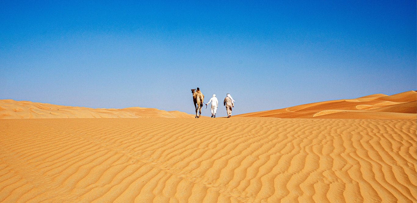 Plan a perfect holiday in Abu Dhabi: Enjoy the glittering city and Arabian safari